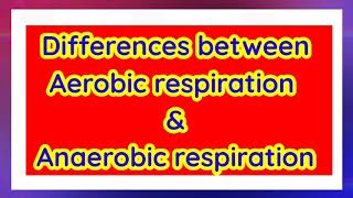 Aerobic respiration vs Anaerobic respiration [upl. by Anreval]