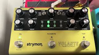 Get The Every Breath You Take Delay Tone With A STRYMON VOLANTE  The Police  Andy Summers [upl. by Shaya771]