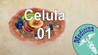 Admitere la Medicina Anatomie  Celula 1 [upl. by Yemaj]