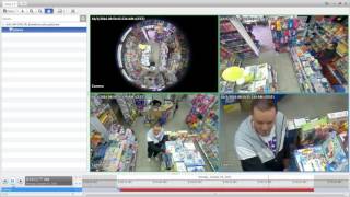 Captured by the Avigilon H4 Fisheye Camera  Retail Video Surveillance [upl. by Aivlys]