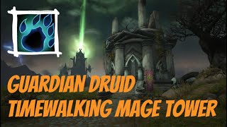 Guardian Druid  Timewalking Mage Tower  Shadowlands [upl. by Alyal402]