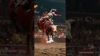 RANK BULL RIDE by Boudreaux Campbell cowboys cowboylifestyle bullriding cowboy rodeo cowboys [upl. by Alyson]