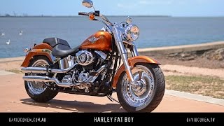 2014 Harley Fat Boy Test [upl. by Minni]