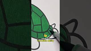 color this sea turtle 🐢 with me from animals of the world coloring book coloring coloringbook [upl. by Ahsenyt37]