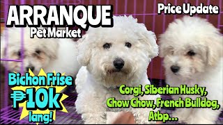 Arranque Pet Market  January 12 2023  Recto Manila [upl. by Muir]