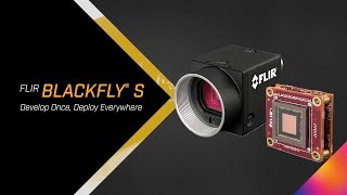 FLIR Blackfly S Family Develop Once Deploy Everywhere [upl. by Philis842]