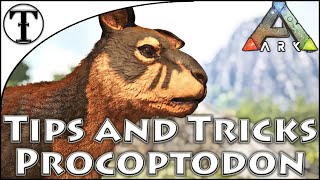 Fast Procoptodon Taming Guide  Ark  Survival Evolved Tips and Tricks [upl. by Llednahs]