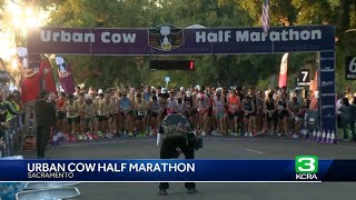 Thousands show up to Urban Cow Half Marathon 2023 [upl. by Azyl209]