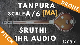 Tanpura Sruthi  Drone  A Scale or 6 Kattai  Ma Madhyamam Madhyam  220Hz [upl. by Annodahs]