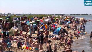 Der Sandstrand in Hooksiel  Ferienratgeber Nordsee Clip [upl. by Einnoc288]