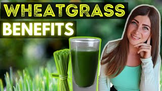 Amazing Wheatgrass Juice Powder Benefits and Uses 🌱 [upl. by Cowen331]