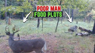 Creating A Poor Man Food Plot For Better Deer Hunting  Start To Finish [upl. by Margot188]