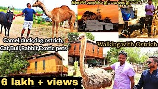 திருச்சி அருகில் இப்படி ஒரு இடமா  Naveen Garden Trichy  Its​ all about  EP 67 [upl. by Norabel45]