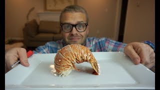 How NOT to boil lobster tails [upl. by Lattimer]