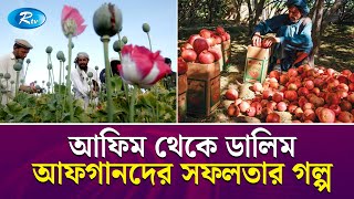 আফগানিস্তানের পানীয় নিয়ে বিশ্বজুড়ে তোলপাড় কিনছে যুক্তরাষ্ট্রও  Afghanistan  Rtv Exclusive [upl. by Chesney328]