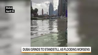 Torrential Rains and Flooding Bring Dubai to a Halt [upl. by Herc]