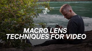 MACRO VIDEOGRAPHY  Beginner Tips For Macro Filmmaking [upl. by Evers395]