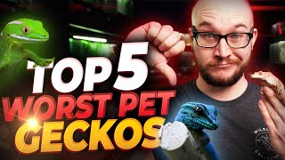 The 5 WORST Pet Geckos and 5 BETTER Options Youll Love  Bet Youve Never Heard Of Number 4 [upl. by Eiryk500]