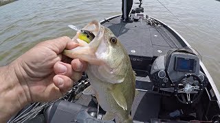 Practicing For My First FLW BFL of the Season Spring Bass Fishing on Kerr LakeBuggs Island [upl. by Pallua]