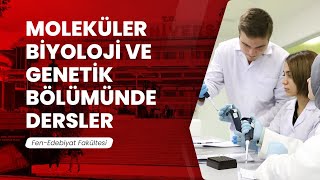 MolekuÌˆler Biyoloji ve Genetik BoÌˆluÌˆmuÌˆnde Dersler [upl. by Pardew]