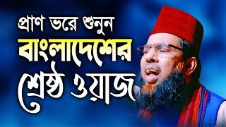 বাংলাদেশের শ্রেষ্ঠ ওয়াজ  Taibur Rahman Bangla Waz  তৈয়বুর রহমান নতুন ওয়াজ  Waz Tv24 [upl. by Adiahs56]