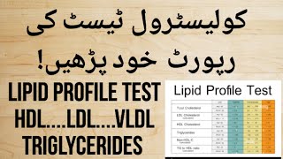 How to Read Cholesterol Test Report Urdu Hindi  Lipid profile Test  HDL LDL amp Triglycerides Test [upl. by Livia]