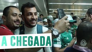 A recepção da torcida do Palmeiras após a vitória contra o Peñarol [upl. by Christoper576]