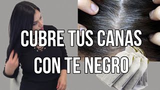 Poderoso Tinte natural para Teñir el cabello sin maltratarlo  aprende a prepararlo [upl. by Nerdna347]