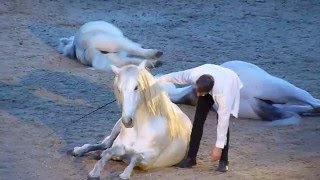 JeanFrançois Pignon London International Horse Show 2015 [upl. by Bron]