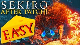 How to Kill Demon of Hatred EASY CHEESE AFTER PATCH  Sekiro Boss Guide [upl. by Jaye]