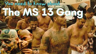 Everything you need to know about The MS 13 gang [upl. by Ahcsas888]