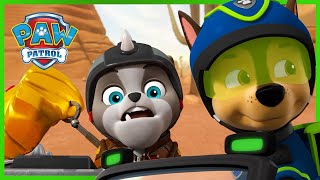 Pups and Cat Pack return the Golden Mask and more  PAW Patrol  Cartoons for Kids Compilation [upl. by Amathiste746]