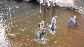 Salmon Snagging Oak Orchard Dam [upl. by Alleinad]