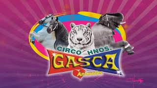 Mi video del circo hnos gasca [upl. by Atsok]