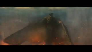 Mothra vs Rodan  Godzilla King of the Monsters [upl. by Elocen400]