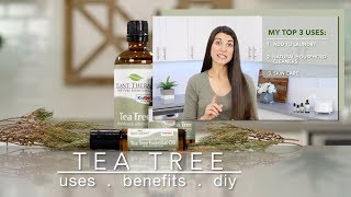 Tea Tree Essential Oil  Best Uses amp Benefits  Quick How To [upl. by Nogem]