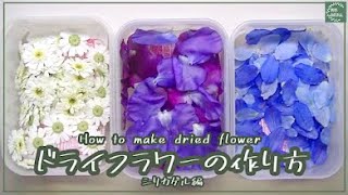 【レジン素材】ドライフラワーの作り方 シリカゲル編 How to make dried flowers Silica gel edition [upl. by Anaicilef296]