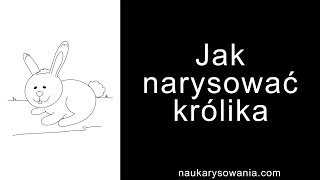 Jak narysować królika  Rysowanie królika krok po kroku [upl. by Marcellus938]