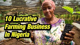 10 Lucrative Farming Business in Nigeria [upl. by Gregory]