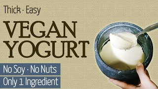 1 Single Ingredient Easy Thick Vegan Yogurt  Soy Free  Nut Free [upl. by Atinniuq198]