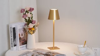 Poldina Table Lamp [upl. by Mayrim]