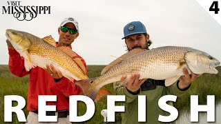 Tagging BIG Redfish in Remote Backcountry Marshes CATCH CLEAN COOK  Field Trips Mississippi [upl. by Idnir]