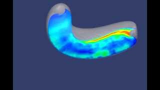 Simulation of pipe inflation [upl. by Karney]