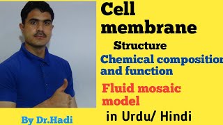 L8 Cell Membrane Models structure composition and function in Urdu Hindi By Dr AHadi [upl. by Marcello]