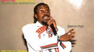 Lady Saw amp Beenie Man Healing [upl. by Gabrielli]