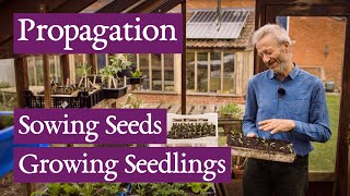 Charles Dowding raising plants from seed [upl. by Cataldo]