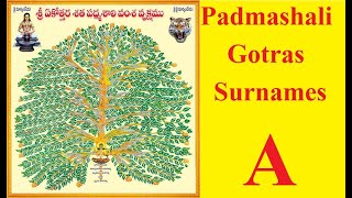 Padmashali Gotra list  श्री पद्मशाली गोत्र  Padmashali Surnames and Gotras  Surnames alphabate A [upl. by Allegra437]