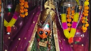 Maa Bankya Rani Mata Jii song [upl. by Burrow]