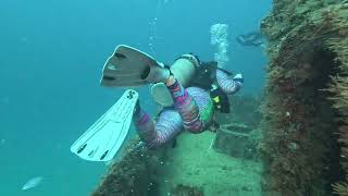 20231123 C56 Dive Scuba Dive in Puerto Morelos Mexico [upl. by Shanks]