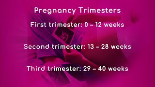 Pregnancy Trimesters [upl. by Duval]